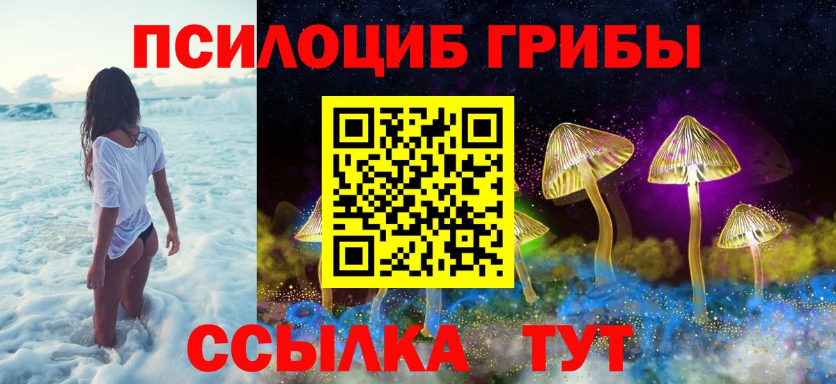 Галлюциногенные грибы прущие грибы Армавир