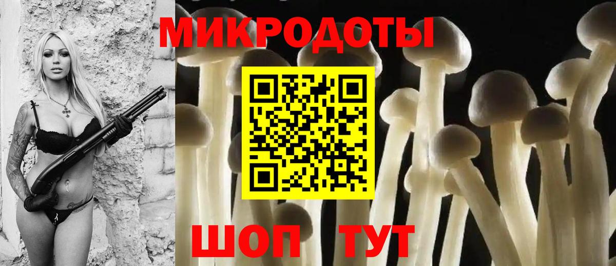 Армавир  Галлюциногенные грибы Cubensis  Вход с VPN 